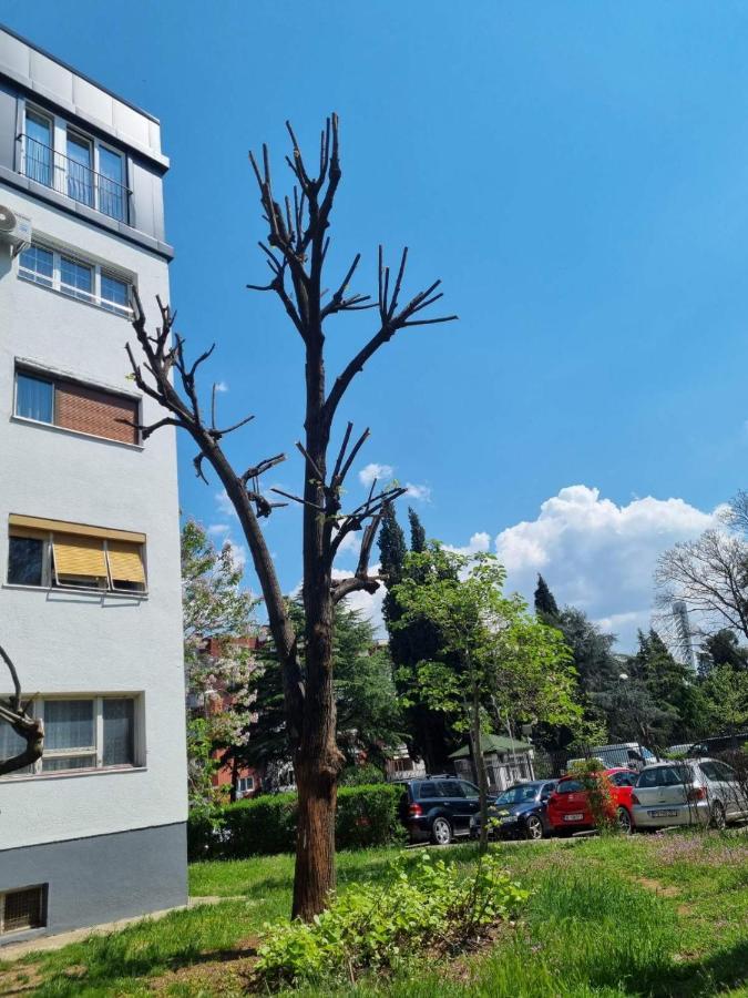 Atelje Apartment Подгорица Екстериор снимка