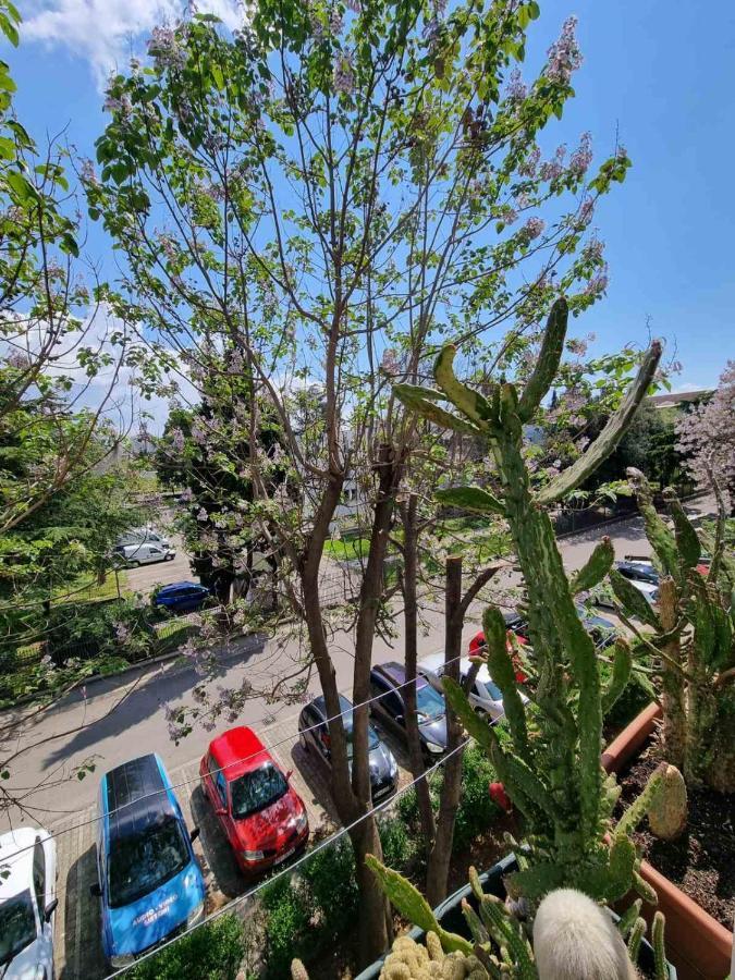 Atelje Apartment Подгорица Екстериор снимка