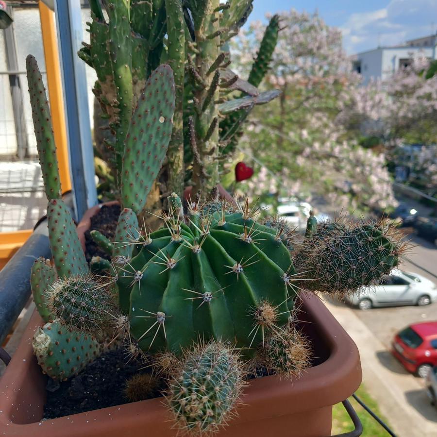 Atelje Apartment Подгорица Екстериор снимка